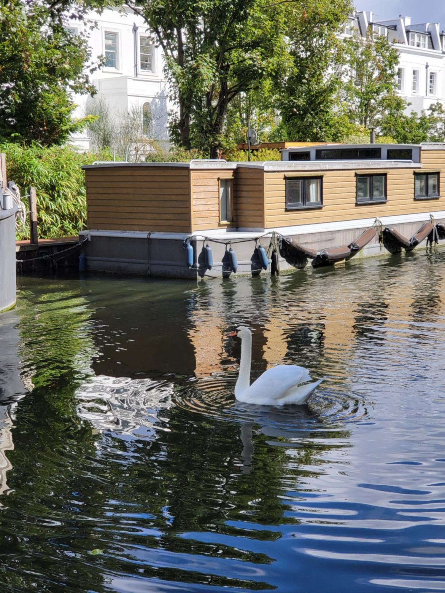 Lovely Canal Boat In Little Venice For Family & Friends London Eksteriør bilde