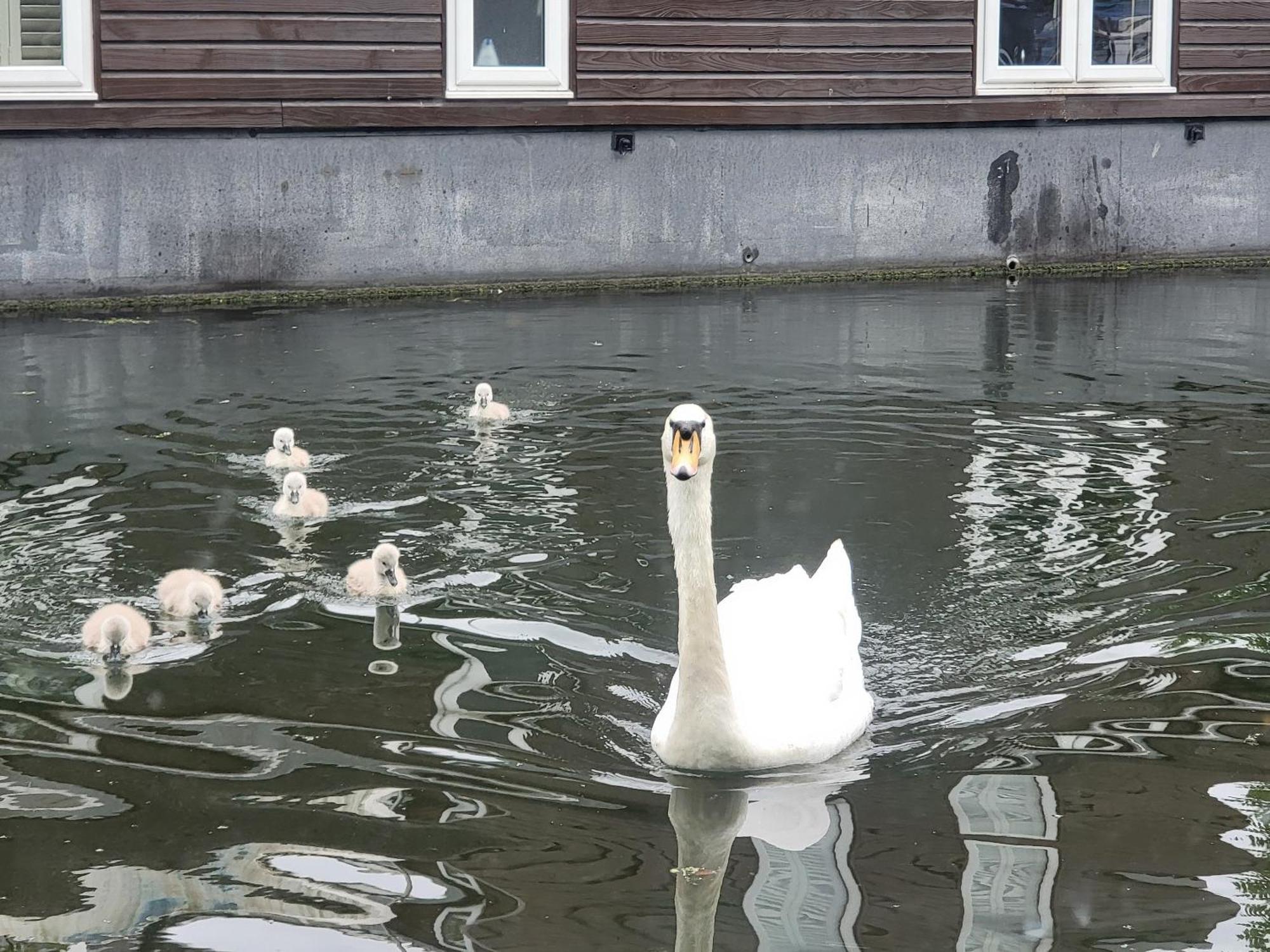 Lovely Canal Boat In Little Venice For Family & Friends London Eksteriør bilde